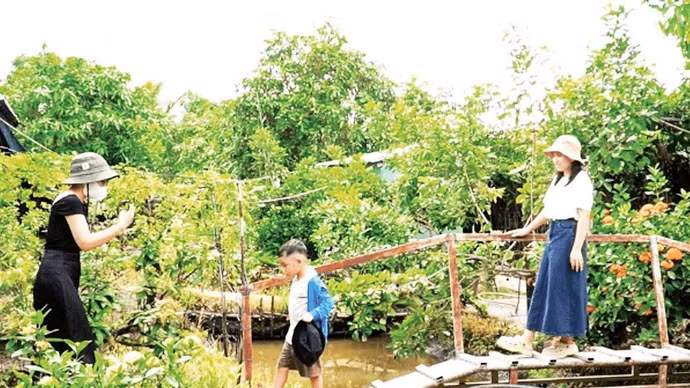 游客参观芹苴市果园生态旅游区。