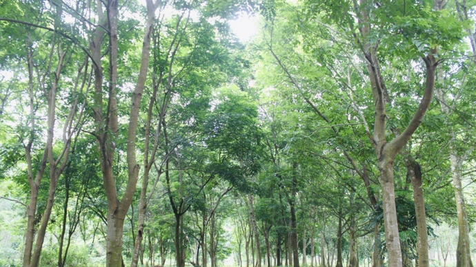 体验浦活自然保护区的“微型世界”。