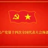 越南共产党第十四次全国代表大会预备会议【图表新闻】