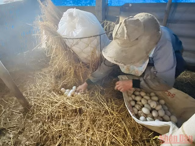 城市中心的“游牧”生活（组图） ảnh 1