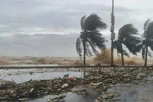 附图。（图片来源：越通社）