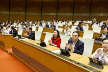 越南国会代表表决通过多项重要法律。（图片来源：越通社）