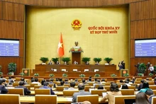 国会以高票通过了《规划法（修订）》。（图片来源：越通社）