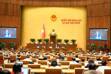 国会11月24日下午举行全体会议。（维灵 摄）