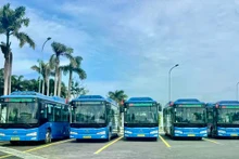 昆岛特区预计12月开通首条电动公交线路。