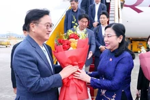 越南国会科学技术与环境委员会主任、越南—韩国友好议员小组主席阮青海到机场迎接韩国国会议长。（图片来源：越通社）