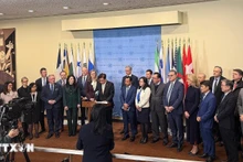 越南与来自世界多区域的43个国家共同发表了由韩国常驻联合国代表、大使代表核心小组宣读的《关于利用技术进行人口贩运问题联合声明》。（图片来源：越通社）