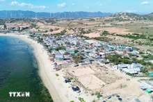 宁顺一号核电厂项目。（图片来源：越通社）