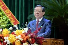 越共中央委员、越南农民协会中央委员会主席梁国团。（图片来源：越通社）