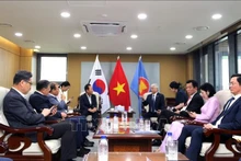 杜文战同志和越南工作代表团会见韩国庆尚北道奉化郡领导及李氏家族代表。（图片来源：越通社）