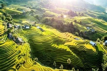 沙巴以雄伟壮丽的自然景观、多样丰富的民族文化以及热闹非凡的高原集市，持续吸引着追求真实而深度体验的游客。（图片来源：Unsplash-Denis Sobnako）