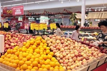 附图。（图片来源：越通社）