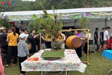 当地政府和农民推销农产品和水果。（图片来源：越南之声）