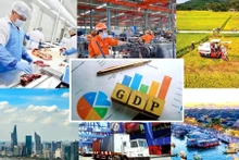 2025年上半年，越南GDP同比增长7.52%，为自2011年以来的最高水平。（图片来源：互联网）