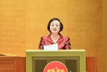 越南内务部长范氏青茶在会议上发表讲话。(维玲 摄)