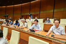 国会代表表决通过《越南国籍法》若干条款修改补充法。（维玲 摄）