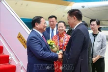 天津市副市长王秀峰前往天津滨海国际机场迎接越南政府总理范明正及越南代表团。（图片来源：越通社）