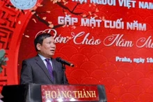 越南祖国阵线中央委员会主席团委员、旅居欧洲越南人协会联合会主席黄廷胜。