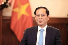 越南政府副总理兼外交部长裴青山。(图片来源:越通社)