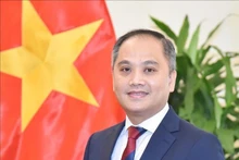 越南驻新西兰大使潘明江。（图片来源：越通社）
