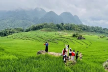 越南旅游业向绿色可持续方向转型。（图片来源：越通社）
