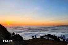 同高山顶的美景。（图片来源：越通社）