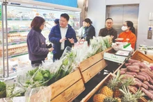 自2026年1月1日起，河内市正式实施多项措施，在集市、便利店、酒店和旅游景区限制使用一次性塑料制品，开启减少塑料垃圾、迈向可持续消费的路线图。