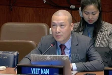 越南常驻联合国代表团副团长阮黄原公使。（图片来源：越通社）