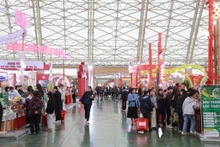 2026年春季博览会。