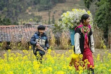 越南春节假期："换换口味"趋势兴起。