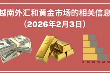 越南外汇和黄金市场的相关信息【图表新闻】