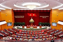 越南共产党第十三届中央委员会第十三次全体会议全景。(图片来源:越通社)