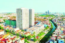 从高处俯瞰海防市的一角。