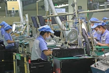 附图。（图片来源：新河内报网）