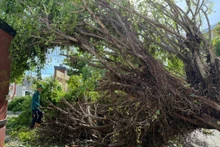 第13号台风袭击得乐省，给该省造成超1700亿越盾的损失（图片来源：得乐报网）