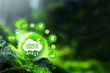 越南许多地方都拥有巨大的碳信用额利用潜力。