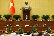 国会主席陈青敏发表讲话。(图片来源:越通社)