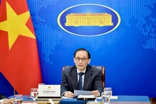 越共中央书记处书记、越南外交部代部长黎怀忠。（图片来源：越南外交部）