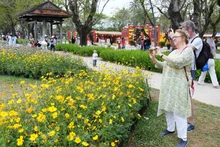 顺化市富春坊的春节鲜花装饰空间吸引众多国际游客参观拍照。（图片来源：越通社）