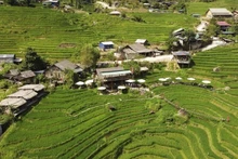 力争建设现代化、富有特色且可持续发展的新农村。（图片来源：越通社）