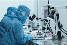 位于安平工业园区的越南舜宇光学技术有限公司正在进行摄像头生产。（图片来源：越通社）