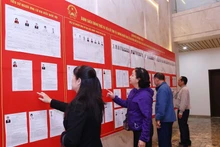 人们在河内第十三号选举单位查看候选人名单。（图片来源：越通社）