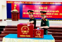 驻守在土珠岛的武装力量提前投票。