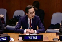 越南常驻联合国代表团团长杜雄越大使在会上致辞。（图片来源：越南常驻联合国代表团）