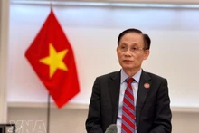 越共中央政治局委员、越南外交部长黎怀忠。（图片来源：越通社）