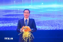 越南科学技术部副部长黎春定发表讲话。（图片来源：越通社）