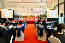 助力越南企业更深融入全球供应链