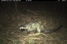 资料图。（美山世界文化遗产管理委员会供图）