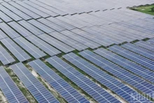 在越南林同省峰富太阳能发电场（Solarcom）安装的太阳能电池板。（文维 摄）