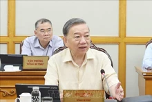 越共中央总书记苏林要求及时解决新组织机构运行中的困难和障碍。（图片来源：越通社）